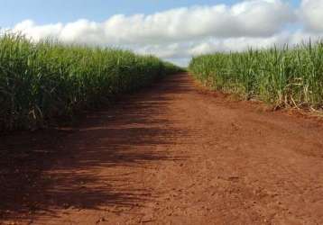 Oportunidade fazenda 84 alqueires dupla aptidão em rio claro-sp