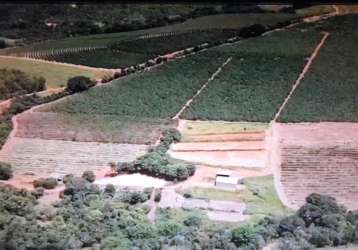 Fazenda 38 alqueires paulistas dupla aptidão em capitólio-mg