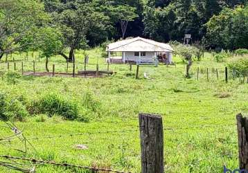 Sítio com 7 alqueires muito bem localizado no município de araguari-mg