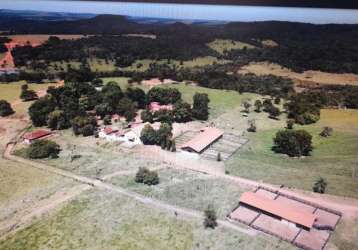 Excelente fazenda 110 alqueires de dupla aptidão em uberaba-mg