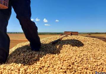 Fazenda para agricultura com 450 alqueires paulistas em cassilândia-ms