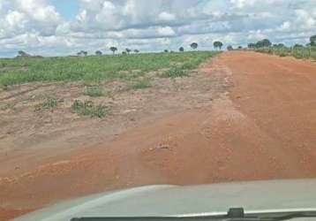 Fazenda com dupla aptidão com 100 alqueires em aruanã-go