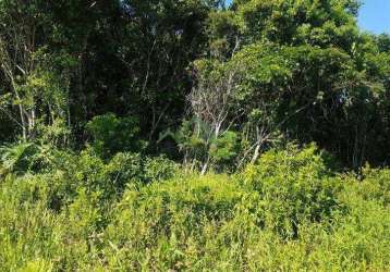 Terreno com at de 312,50m² a venda em balneário barra do sul - salinas