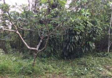 Terreno para venda em itanhaém, são fernando