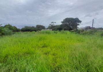 Terreno para venda em peruíbe, josedy