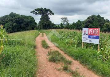 Área rural para venda em campo largo, colônia figueiredo