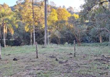 Área rural para venda em campo largo, bateias