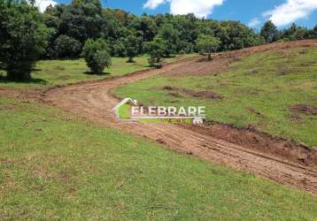 Chácara / sítio à venda na rua adolfo inácio de faria, s/n, pacotuba, almirante tamandaré por r$ 280.000