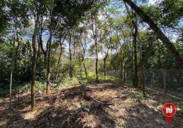 Chácara à venda, 8000 m² por r$ 1.100.000,00 - soares - brumadinho/mg