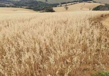 Fazenda / sítios / chácaras com 3 quartos à venda em pouso alegre