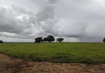 Terreno para venda em sobrado, riacho da serra