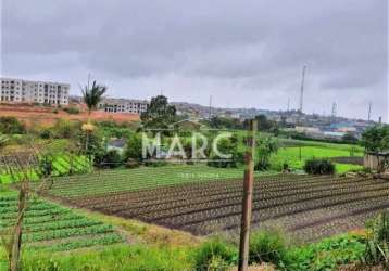 Terreno à venda na rua rosa umehara manabe, jardim chácara méa, suzano, 29000 m2 por r$ 12.000.000