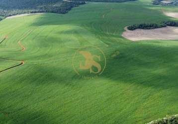 Fazenda com 690 alqueires em campo bonito pr