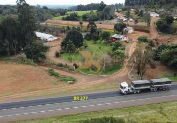 Sitio com aviários frente a rodovia br 277