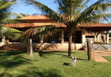 Fazenda vargem grande para venda no município de santa branca