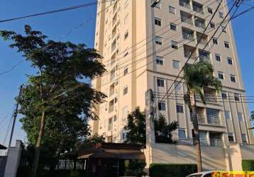 Apartamento venda vila maria alta,  55m²