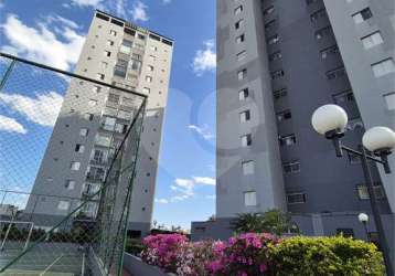 Apartamento com 3 quartos à venda em vila celeste - sp