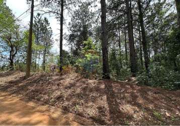 Terreno para venda em pardinho de 5000.00m²