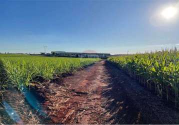 Terreno para venda em jardinópolis de 70599.00m² com 1 quarto, 1 suite e 50 garagens