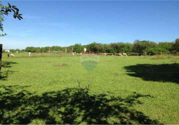 Lote / terreno para venda em chácaras reunidas anhanguera de 5040.00m²