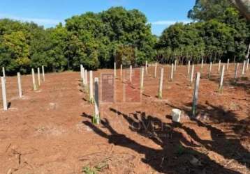 Fazenda / sítio para venda em vila ipiranga de 200.00m² com 2 quartos e 3 garagens