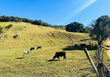 Terreno para venda em toledo de 84700.00m²