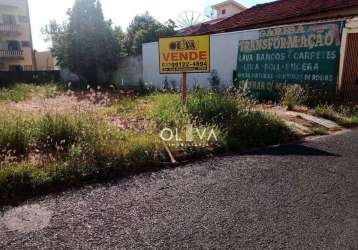 Terreno para venda e aluguel em vila angélica de 341.00m²