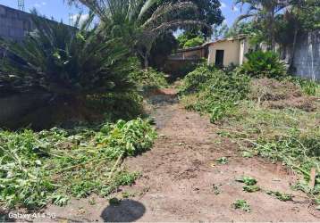 Terreno para venda em vila santa luzia de 229.30m²