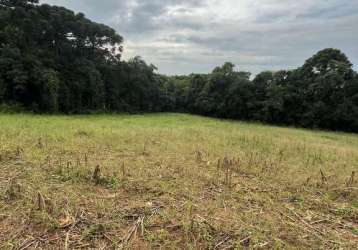 Imperdível - chácara de 43.000m² á venda em araucária: natureza e proximidade urbana por r$495k!