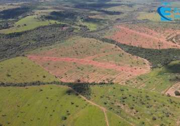 Fazenda dupla aptidão, com 35 alqueires em uberlândia-mg;