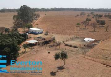 Fazenda em monte alegre de minas com 98.79 hectares - 20.41 alqueires ideal para lavoura, pecuaria de corte ou produção de leite.