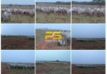 Fazenda 10.280 hectares a venda por r$700.000.000,00.