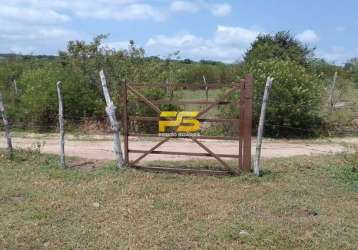 Sitio a venda 4 hectares oportunidade solanea-pb