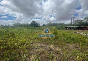 Terreno à venda, 600 m² por r$ 195.000,00 - dias macedo - fortaleza/ce