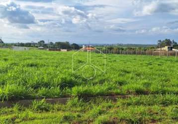 Terreno área em marília