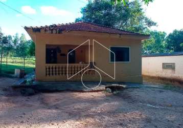 Rural sítiofazenda em marilia