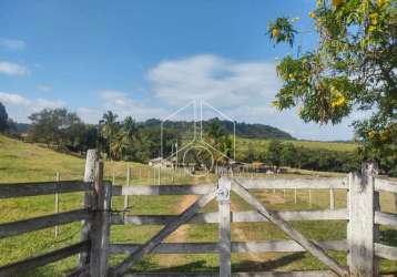 Rural sítiofazenda em marília