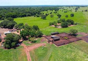 Fazenda imperdível em formoso do araguaia/to