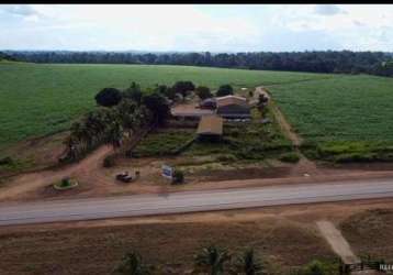 Fazenda em novo progresso/pa - ótima oportunidade de negócio