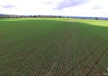 Fazenda bem estruturada em palmeiras/to