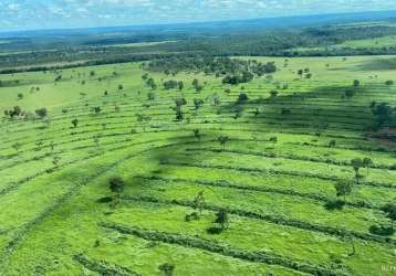 Fazenda incrível com ótima infraestrutura em alcinópolis/ms