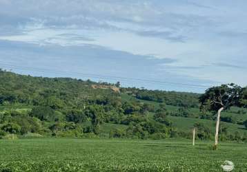 Bela fazenda em são luis de montes belos/go