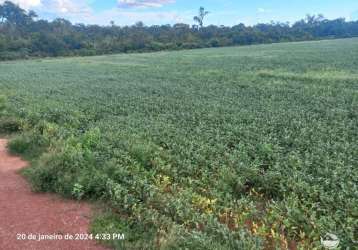 Fazenda com ótima estrutura em juara/mt