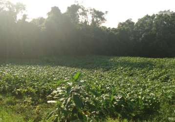 Fazenda com mata nativa em santa cruz do sul/rs