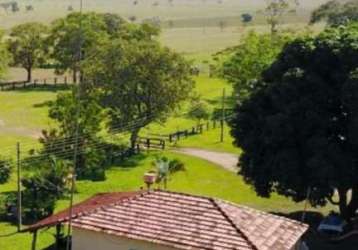 Fazenda incrível na região do chapadão do sul