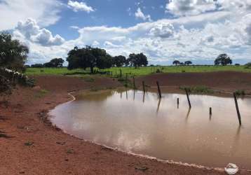 Fazenda estruturada para pecuária– lagoa da confusão/ to - no vale do araguaia -