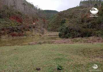 Fazenda incrível em são francisco xavier/sp