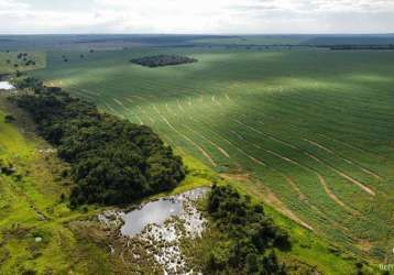 Fazenda excelente em paraíso das águas/ms