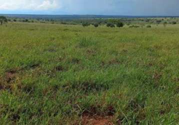 Fazenda em paraíso das águas/ ms com 2.000 hectares, próximo ao asfalto.