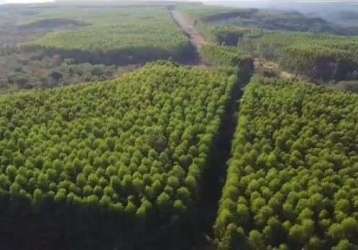 Fazenda imperdível -  14.456 hectares com nascentes e córregos